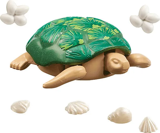 71058 Giant Tortoise