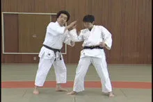 Aiki Technical DVD 2 with Kunio Yasue