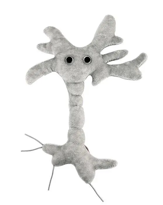 Brain Cell (Neuron) Giant Microbes Plush