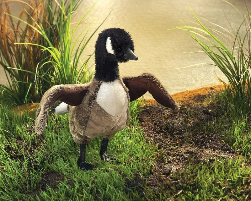 Canada Goose Puppet