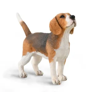 CollectA Beagle Figurine M