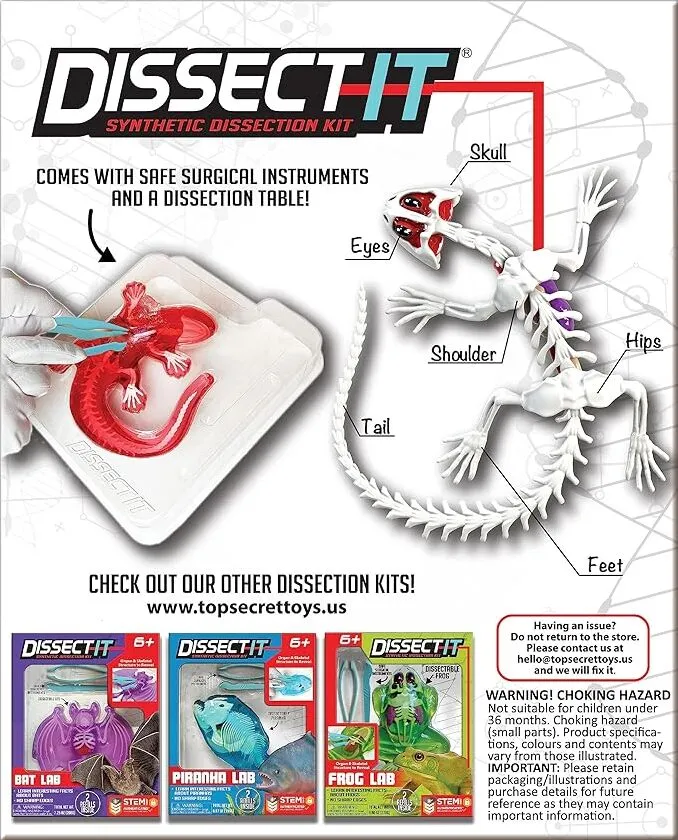 Dissect-It® Salamander Lab