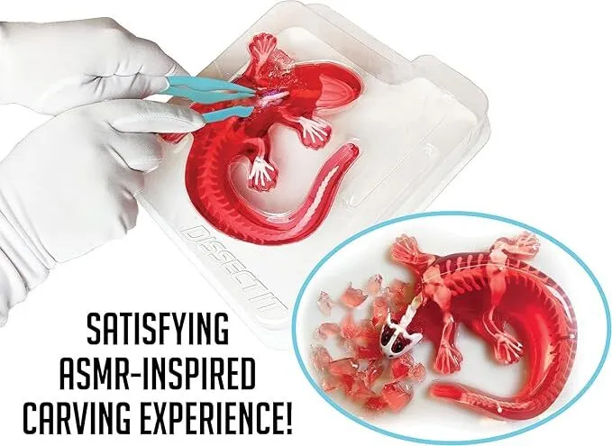 Dissect-It® Salamander Lab