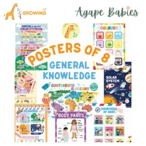 Growing Up Educational Posters (Set of 8) - General Knowledge (28X40cm)