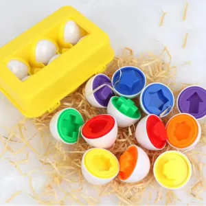 Montessori Smart Eggs Puzzle Matching Game | 6 Pcs