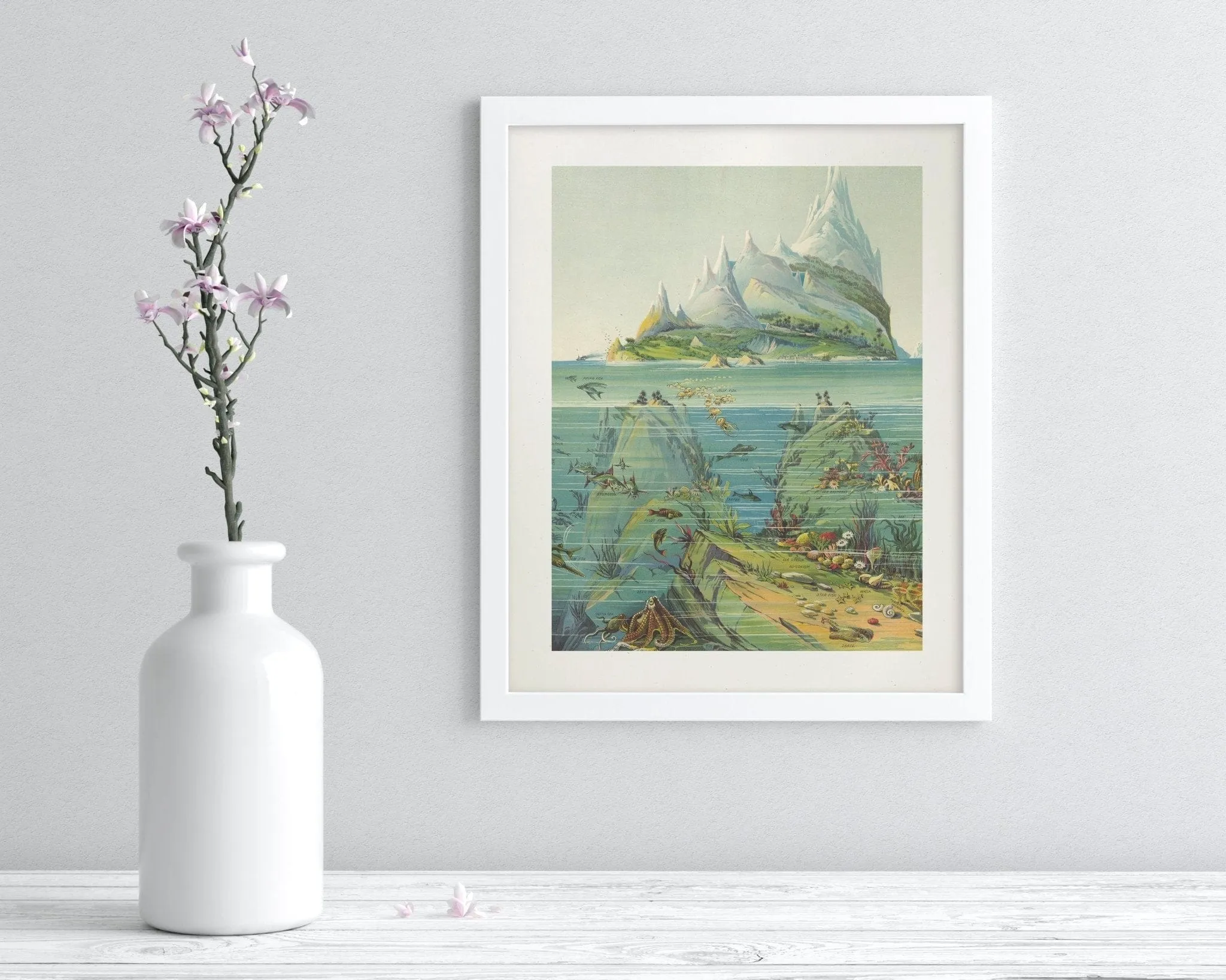 Ocean Regions Scientific Illustration Museum Print