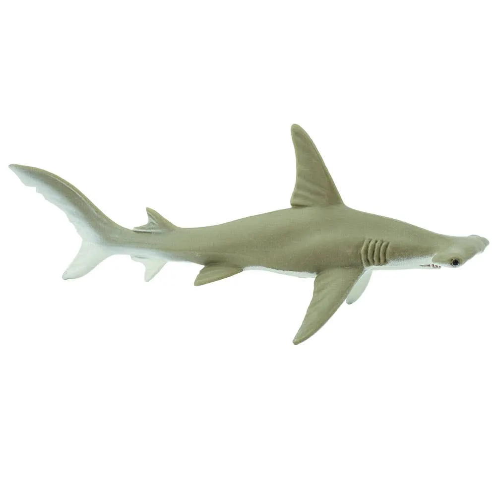 Safari Ltd. - Hammerhead SharK