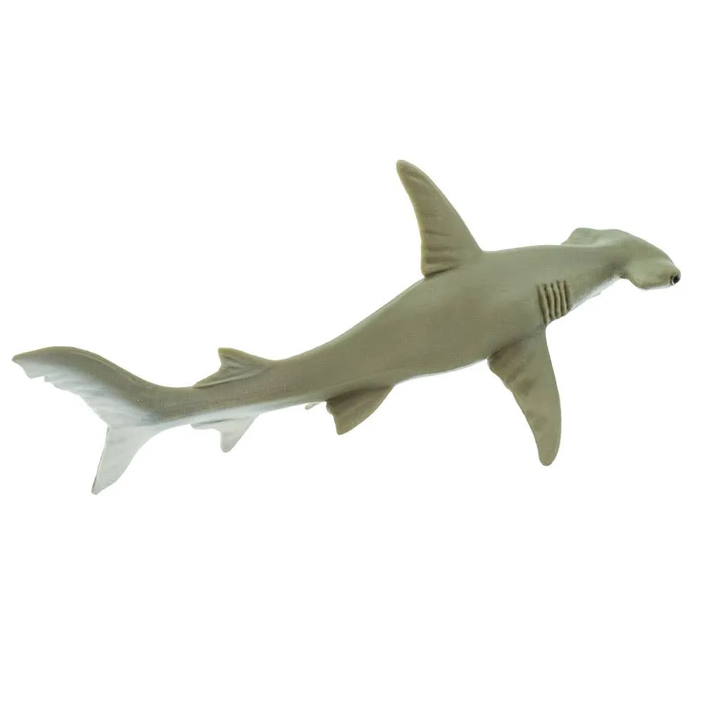 Safari Ltd. - Hammerhead SharK