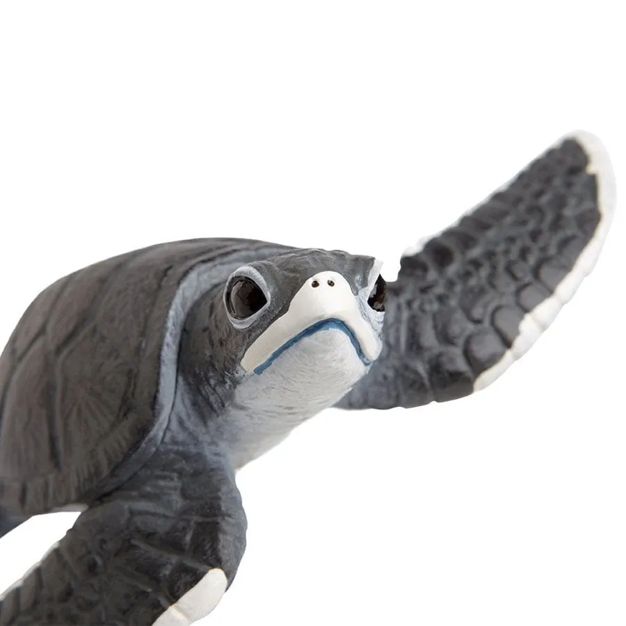 Sea Turtle Baby Toy