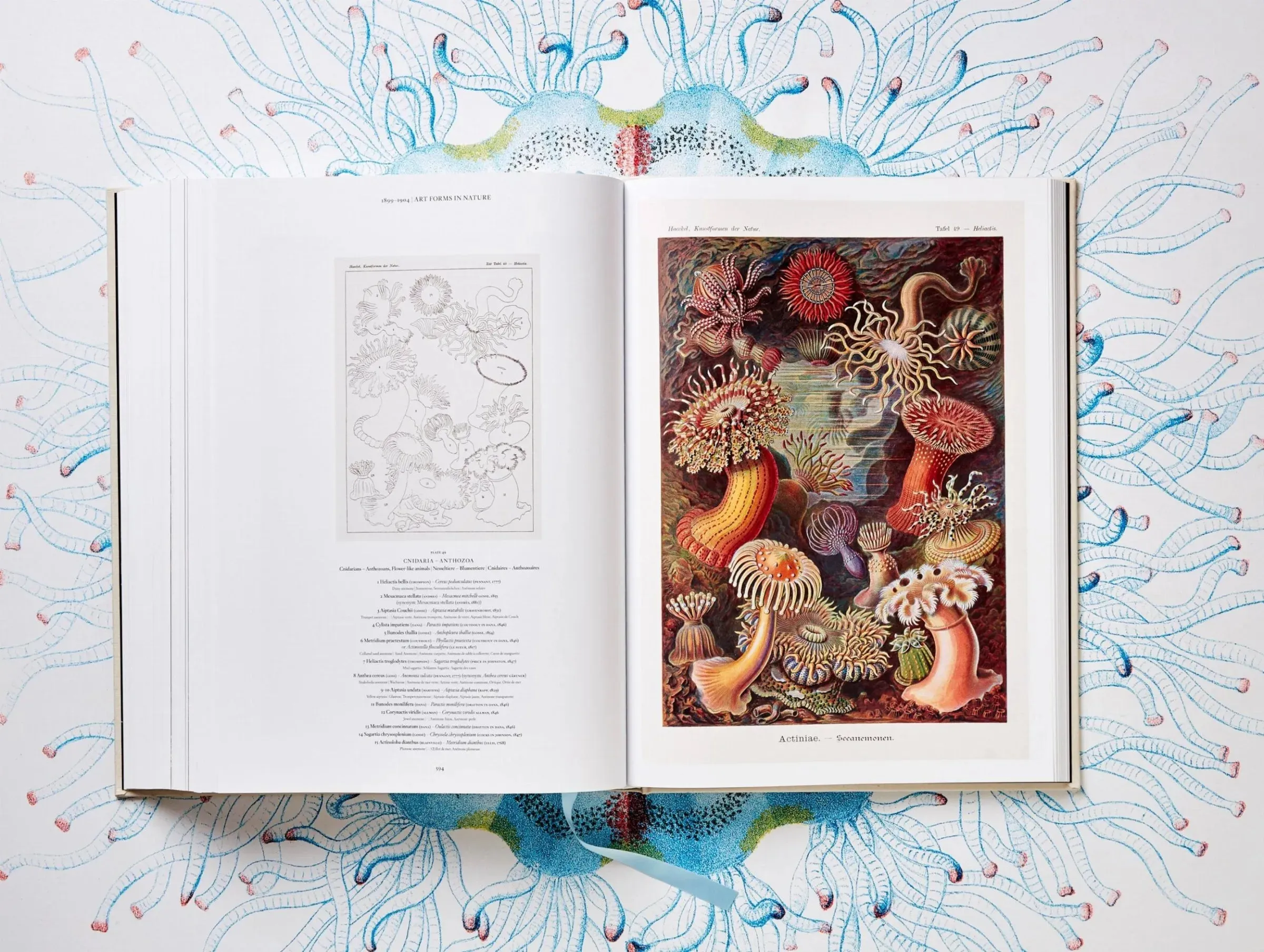 The Art and Science of Ernst Haeckel