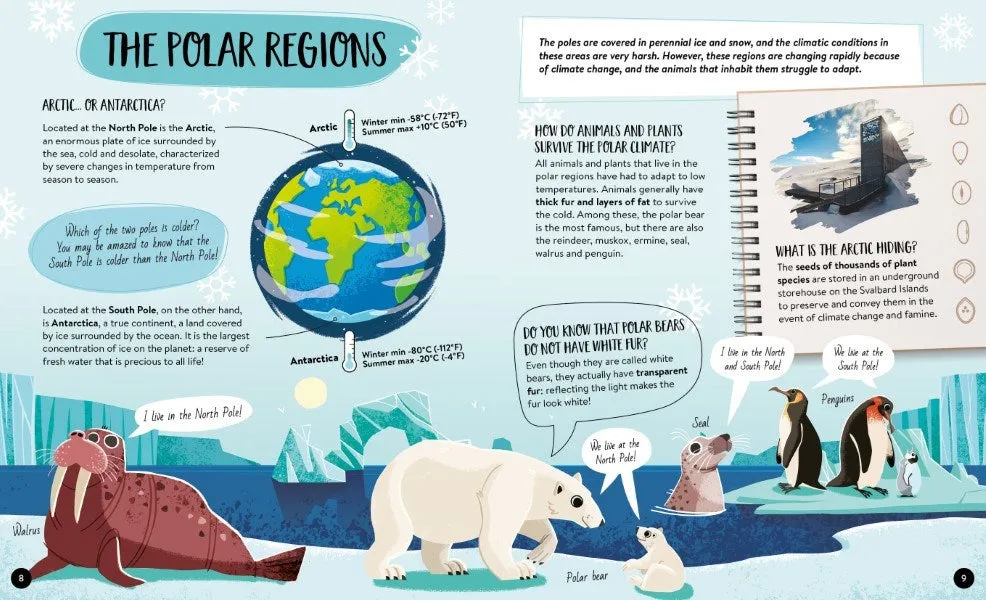 xSassi Junior What How and Why Earth Book and Poster